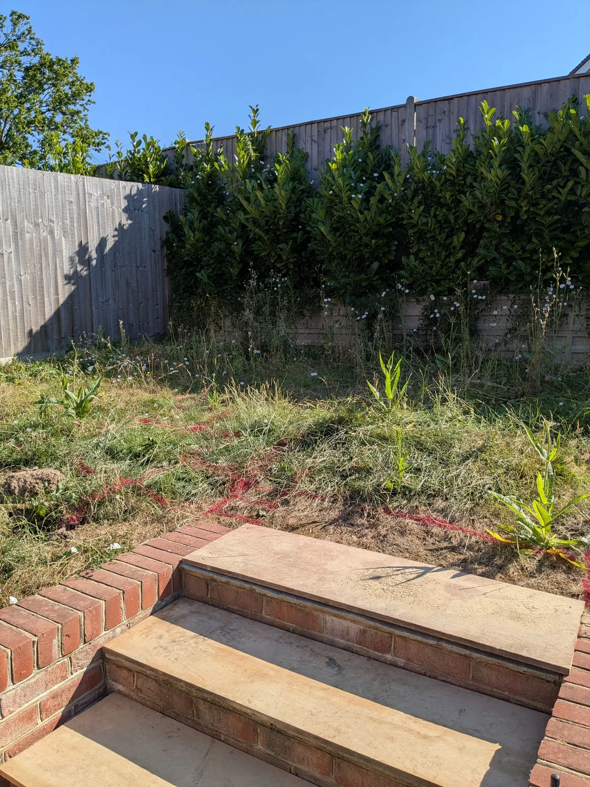 Standard new-build Buxted garden before the transformation
