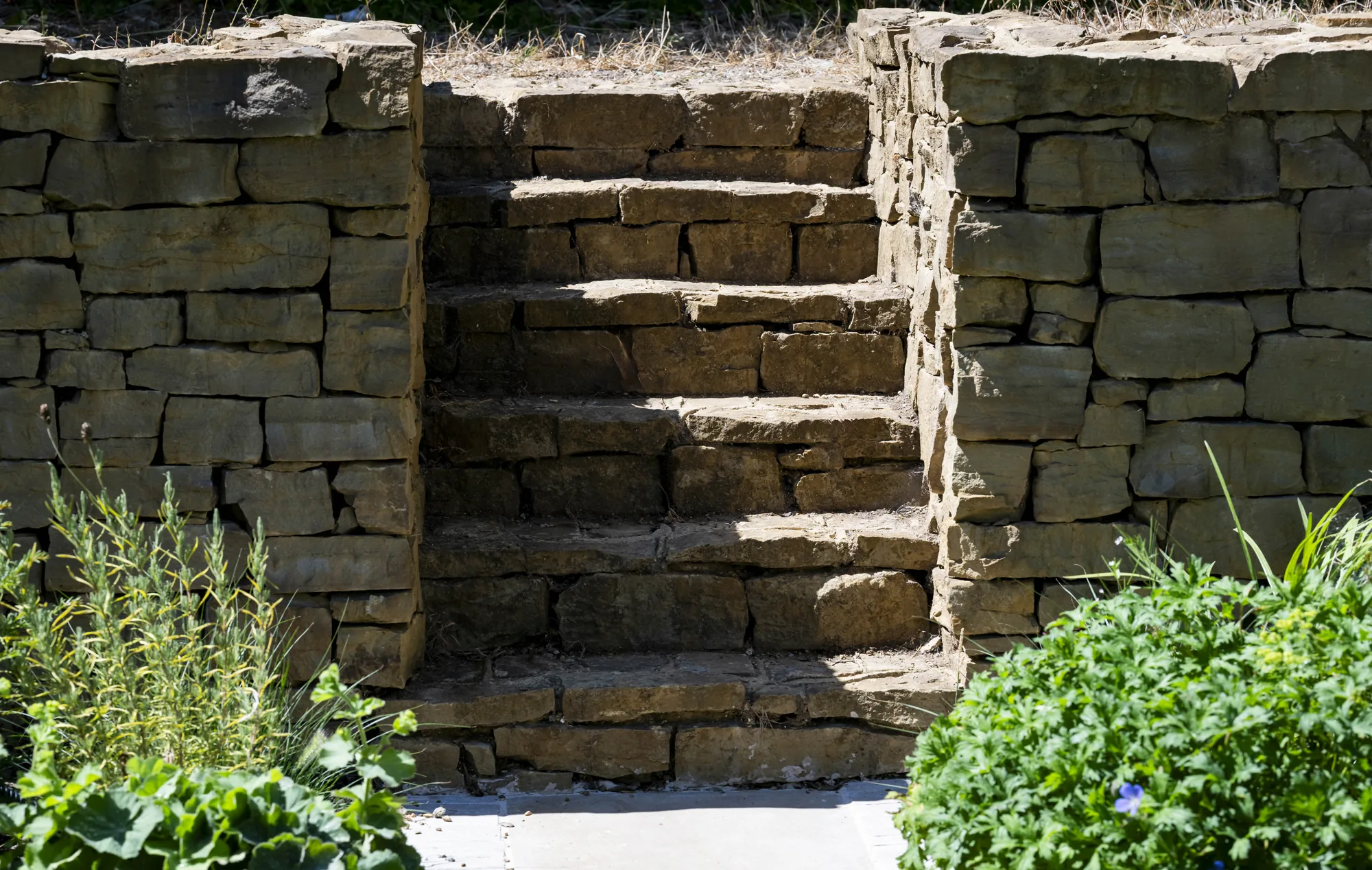 Garden Steps project by Builds by James in Brighton and East Sussex